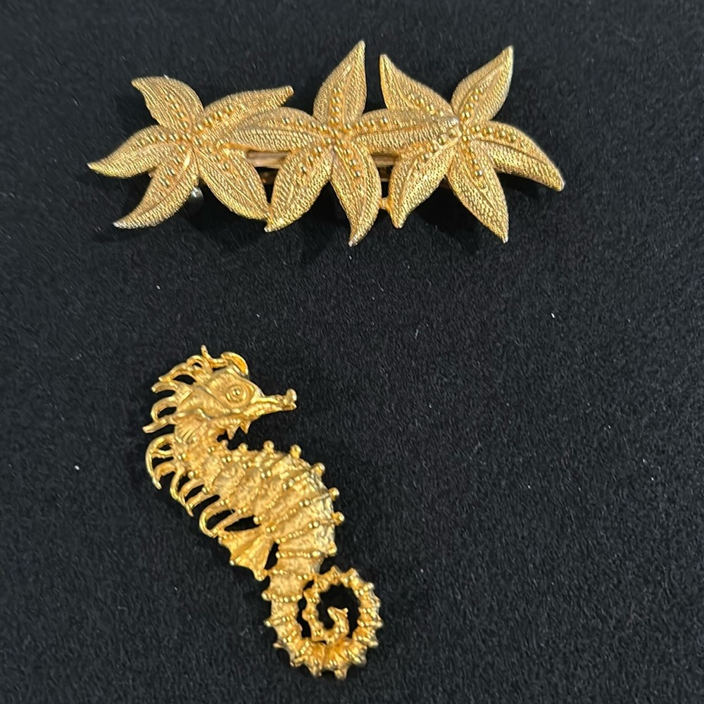 Brooch & hair barrette bundle